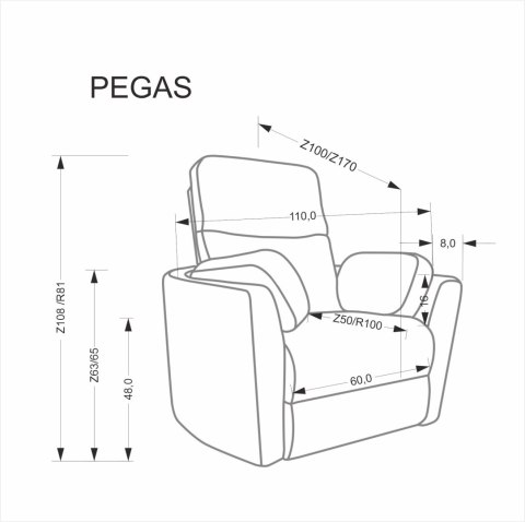 PEGAS fotel wypoczynkowy popielaty