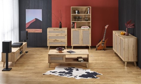 BORNEO REG-1 regał dąb artisan/czarny