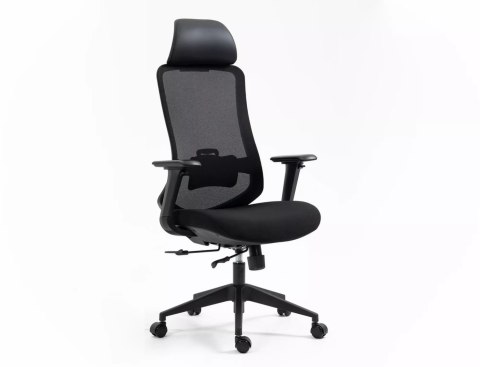 Fotel obrotowy Ergon