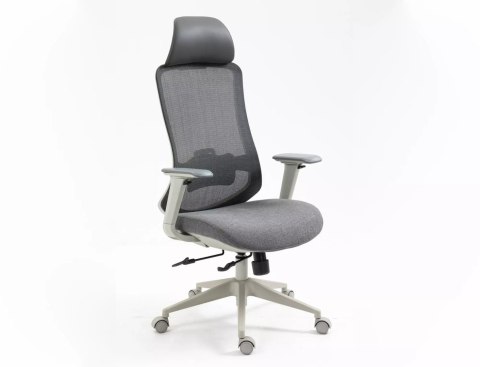 Fotel obrotowy Ergon
