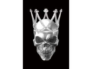 Obraz Skull II