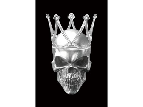 Obraz Skull II